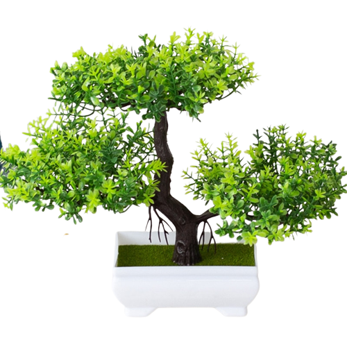 Bonsai Decorativo